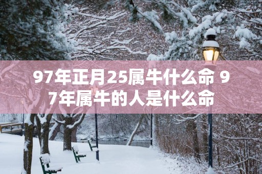 97年正月25属牛什么命 97年属牛的人是什么命