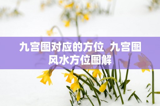 九宫图对应的方位  九宫图风水方位图解