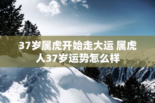 37岁属虎开始走大运 属虎人37岁运势怎么样