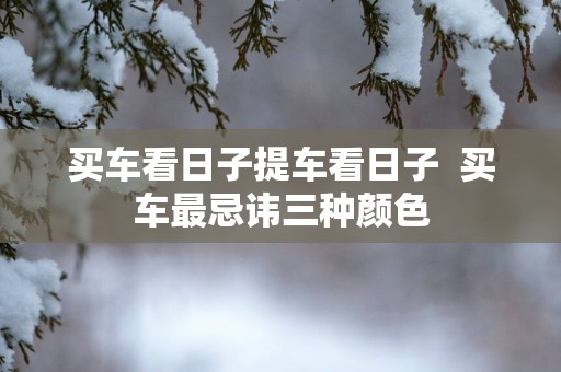 买车看日子提车看日子  买车最忌讳三种颜色