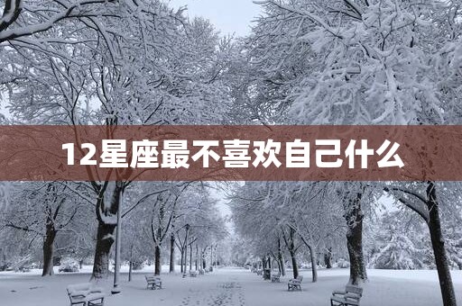 12星座最不喜欢自己什么