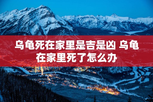 乌龟死在家里是吉是凶 乌龟在家里死了怎么办