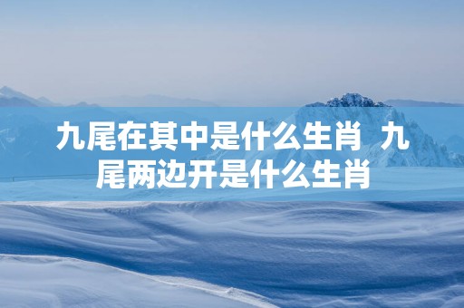 九尾在其中是什么生肖  九尾两边开是什么生肖