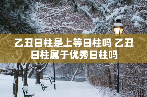 乙丑日柱是上等日柱吗 乙丑日柱属于优秀日柱吗