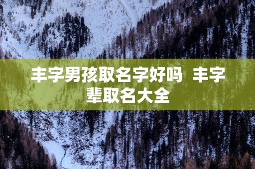 丰字男孩取名字好吗  丰字辈取名大全