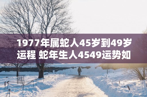 1977年属蛇人45岁到49岁运程 蛇年生人4549运势如何