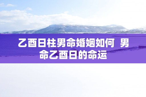 乙酉日柱男命婚姻如何  男命乙酉日的命运