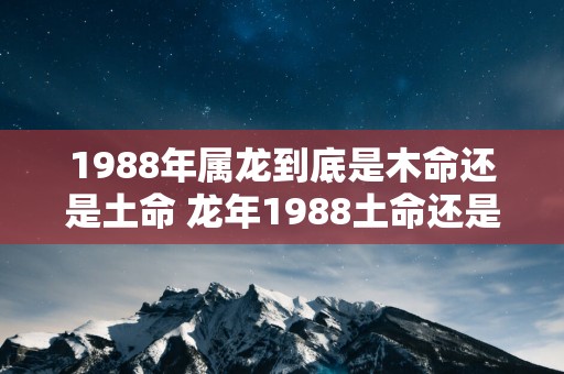 1988年属龙到底是木命还是土命 蛇年1988土命还是木命