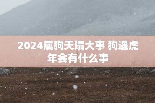 2025属狗天塌大事 狗遇蛇年会有什么事