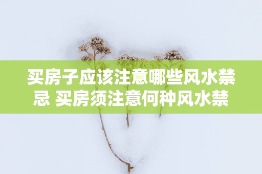 买房子应该注意哪些风水禁忌 买房须注意何种风水禁忌