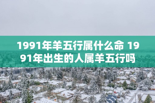 1991年羊五行属什么命 1991年出生的人属羊五行吗