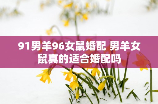 91男羊96女鼠婚配 男羊女鼠真的适合婚配吗