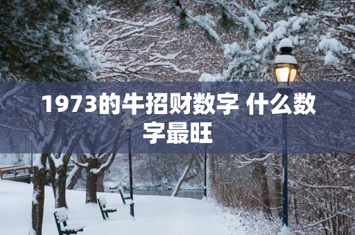 1973的牛招财数字 什么数字最旺