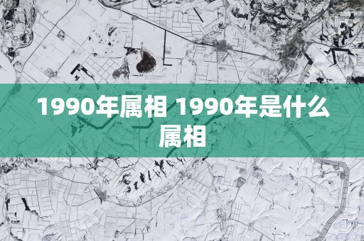 1990年属相 1990年是什么属相