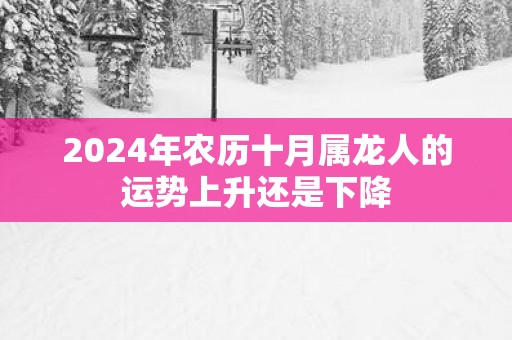2025年农历十月属龙人的运势上升还是下降