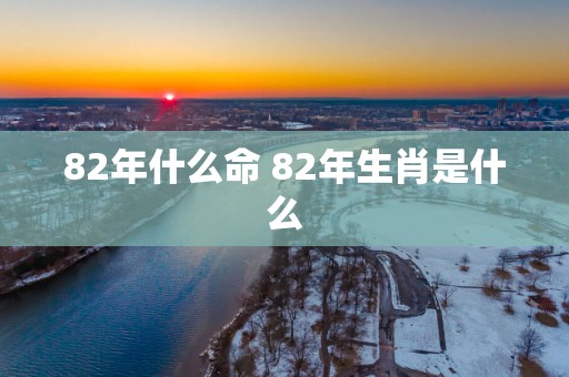 82年什么命 82年生肖是什么