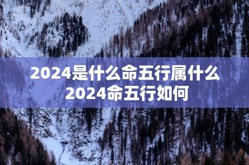 2025是什么命五行属什么 2025命五行如何