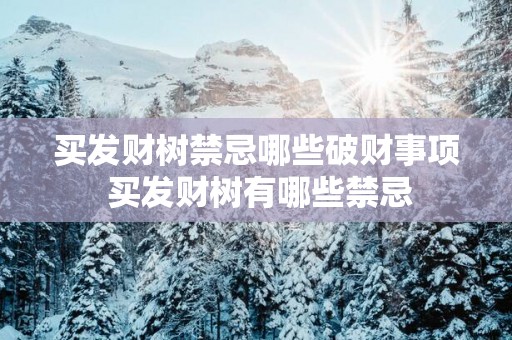 买发财树禁忌哪些破财事项 买发财树有哪些禁忌