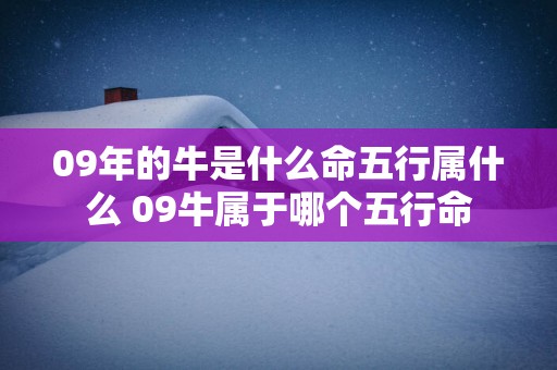 09年的牛是什么命五行属什么 09牛属于哪个五行命