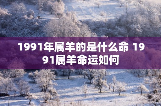 1991年属羊的是什么命 1991属羊命运如何