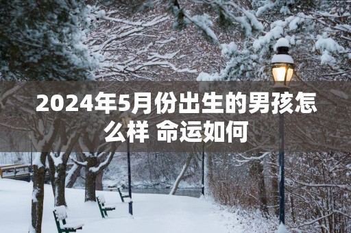 2025年5月份出生的男孩怎么样 命运如何