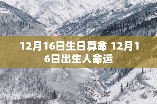 12月16日生日算命 12月16日出生人命运