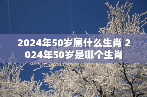 2025年50岁属什么生肖 2025年50岁是哪个生肖
