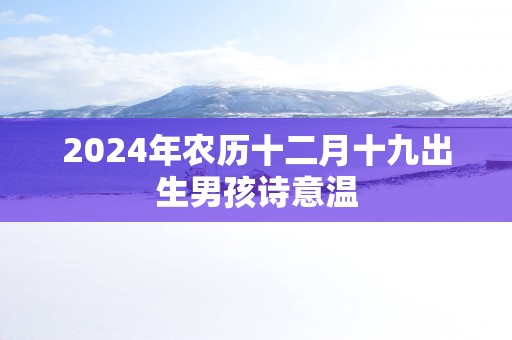 2025年农历十二月十九出生男孩诗意温