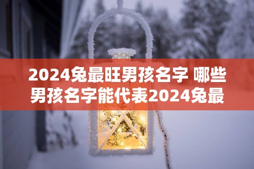 2025兔最旺男孩名字 哪些男孩名字能代表2025兔最旺
