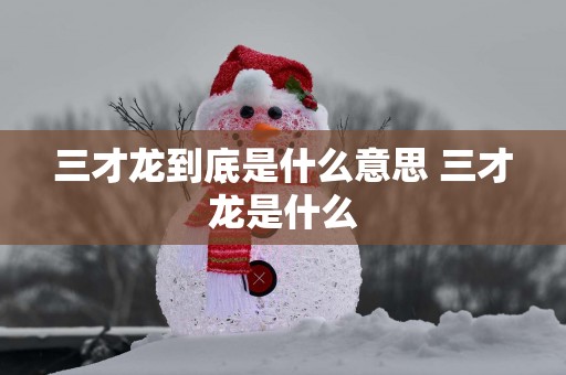 三才龙到底是什么意思 三才龙是什么