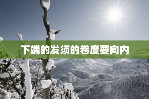 下端的发须的卷度要向内
