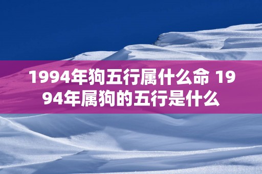 1994年狗五行属什么命 1994年属狗的五行是什么