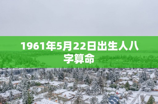 1961年5月22日出生人八字算命