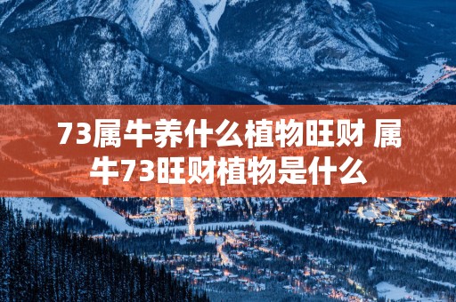 73属牛养什么植物旺财 属牛73旺财植物是什么