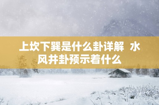 上坎下巽是什么卦详解  水风井卦预示着什么