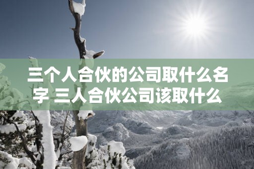 三个人合伙的公司取什么名字 三人合伙公司该取什么名字