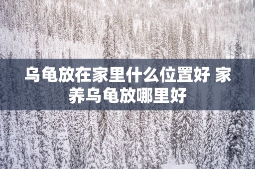 乌龟放在家里什么位置好 家养乌龟放哪里好