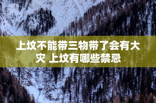 上坟不能带三物带了会有大灾 上坟有哪些禁忌