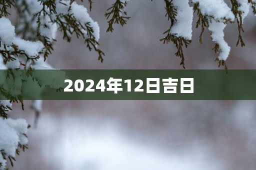 2025年12日吉日