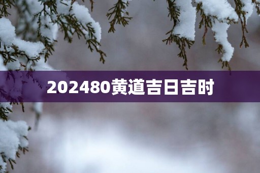 202580黄道吉日吉时