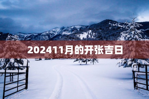 202511月的开张吉日
