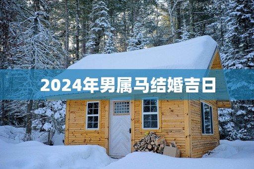 2025年男属马结婚吉日