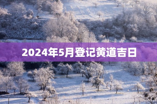 2025年5月登记黄道吉日