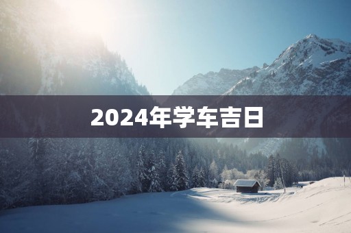 2025年学车吉日