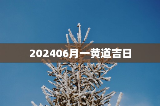 202506月一黄道吉日