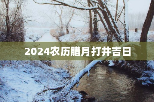 2025农历腊月打井吉日