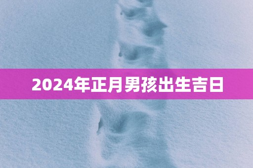 2025年正月男孩出生吉日