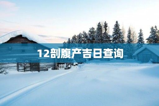 12剖腹产吉日查询
