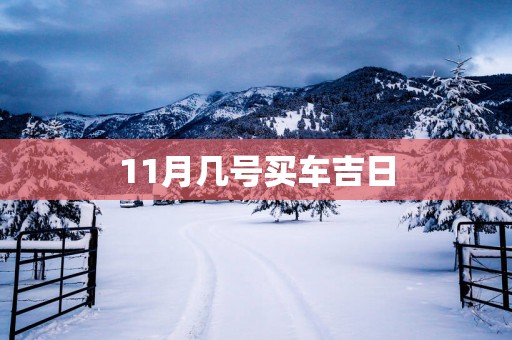 11月几号买车吉日