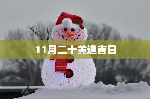 11月二十黄道吉日